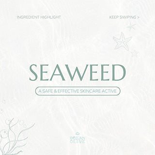 Ingredient Highlight Seaweed