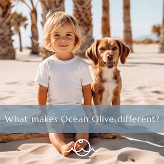 What makes Ocean Olive different?